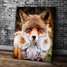 Laden Sie das Bild in den Galerie-Viewer, Fuchs Portrait