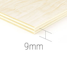 Load the image into the gallery viewer, <transcy>Einstein Prize IQ - wood picture</transcy>