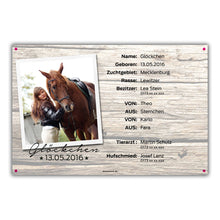 Laden Sie das Bild in den Galerie-Viewer, Boxenschild Classic