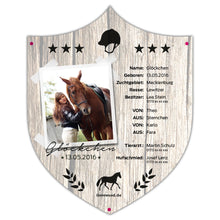 Laden Sie das Bild in den Galerie-Viewer, Boxenschild Schild