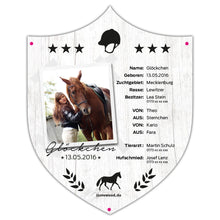 Laden Sie das Bild in den Galerie-Viewer, Boxenschild Schild