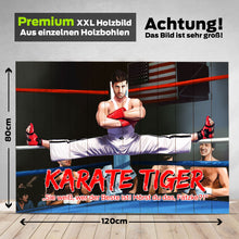 Load the image into the gallery viewer, <transcy>You in karate tiger</transcy>